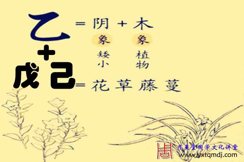 乙＋戊己131集.jpg